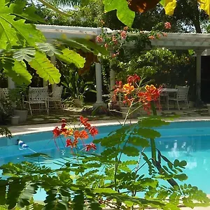 Motel Orchard Garden