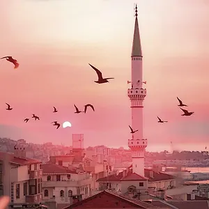 هالا آبلا إفليري ترابزون